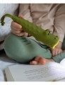 kroko2.jpeg