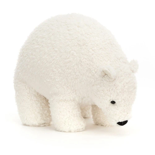 mis polarny west.jpeg