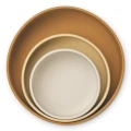 bowl.webp