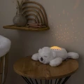 875592_05.jpeg