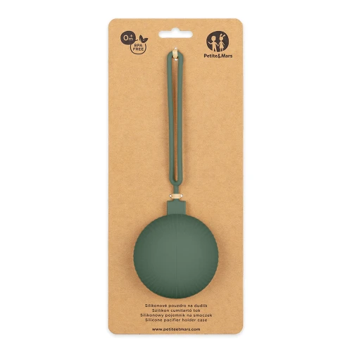 d0e93397e92660f54ec6ff1eed8219bb-pacifier-misty-green-01.png