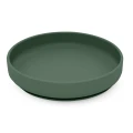 edb66b8189419cfb435eb62f0dd01a04-plate-misty-green-04.png