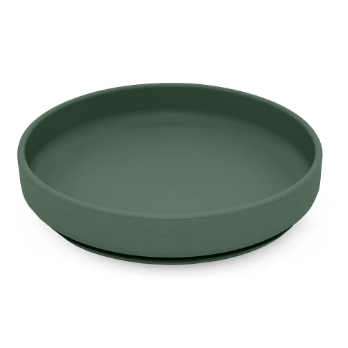 edb66b8189419cfb435eb62f0dd01a04-plate-misty-green-04.png