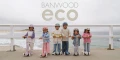 banwood_eco_banner.jpeg