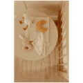 pol_pl_Little-Dutch-Zestaw-prezentowy-Newborn-Naturals-5348_10.png