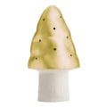 pol_pl_Lampka-nocna-LED-Grzybek-zloty-Egmont-Toys-R-229_2.jpeg